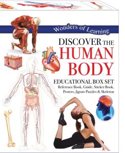 Grade-7, Unit-1[Human body], solved notes[exercise Q/A]